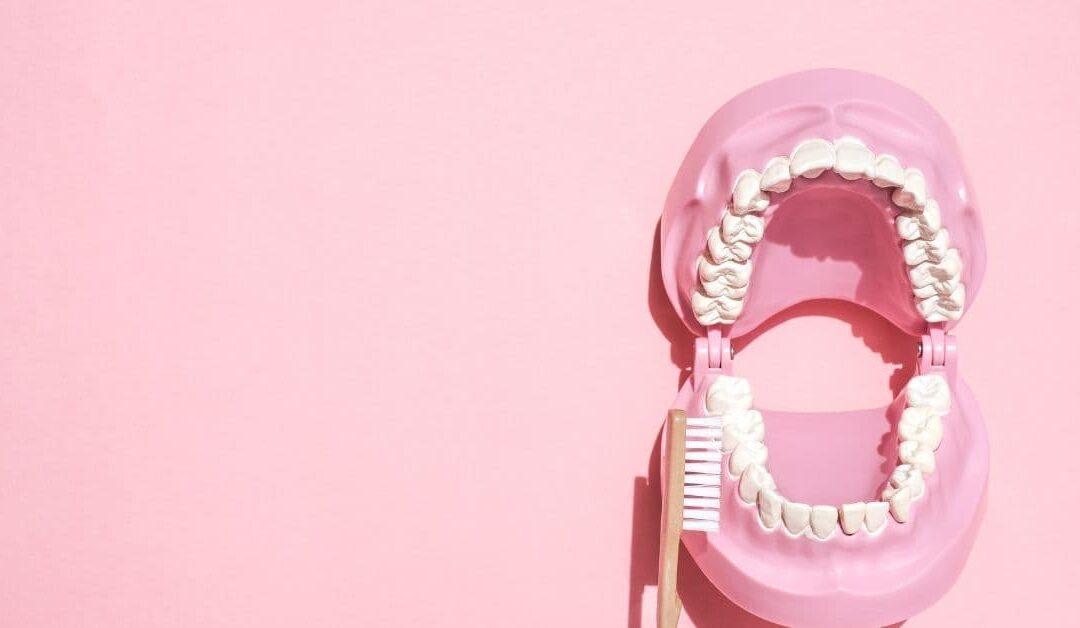 Choosing a toothbrush: here's why the soft-bristled one works best!